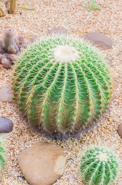 Sharp sand can be used in garden spaces.