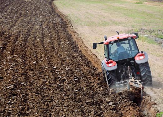 Some individuals offer plowing services.