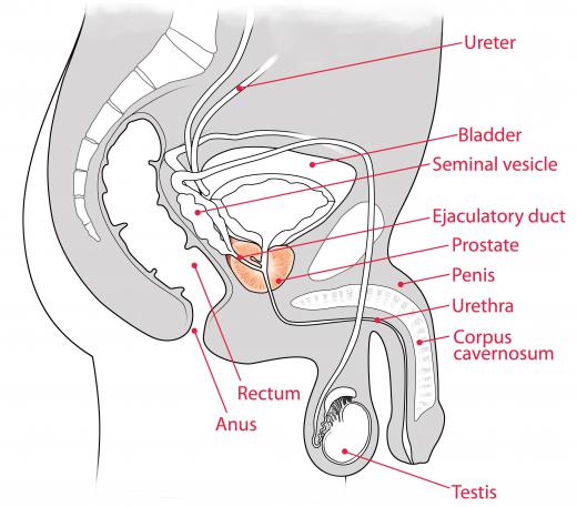 Linseed oil may help treat prostate gland inflammation.