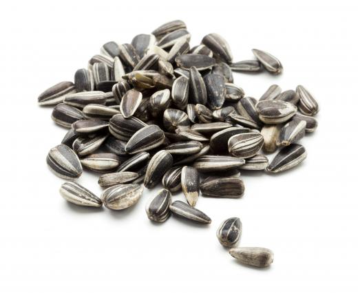 South Africa is a major producer of sunflower seeds.