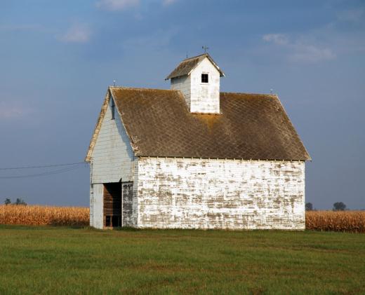 For farms that raise animals and livestock, the main barn houses the animals.