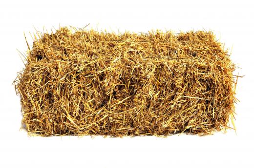 Forage crops can be baled to make hay.