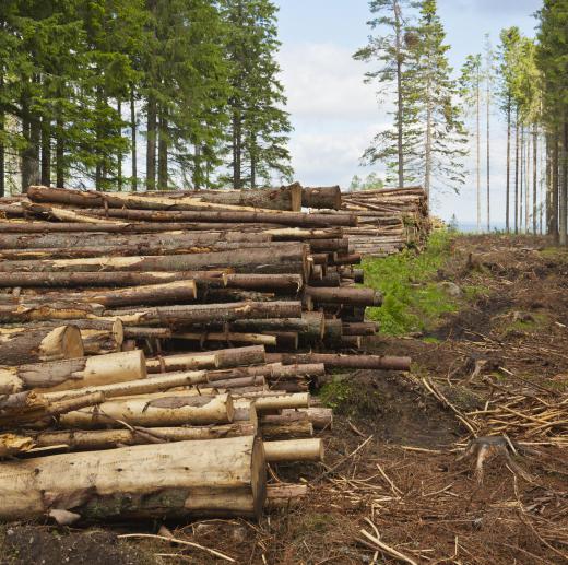 A yarder is used to move logs on a logging site.