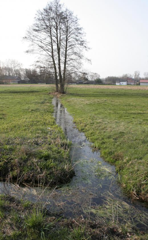 Shallow ditches are a common form of surface drainage.