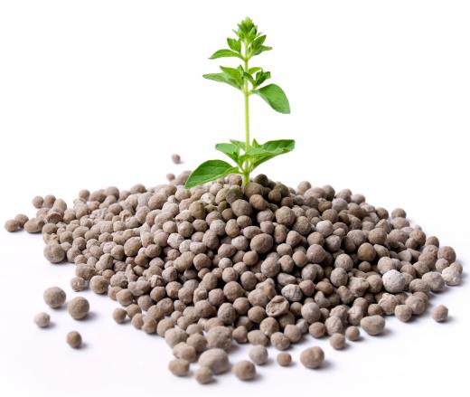 Fertigation can be used to provide nutrients in the form of fertilizers.