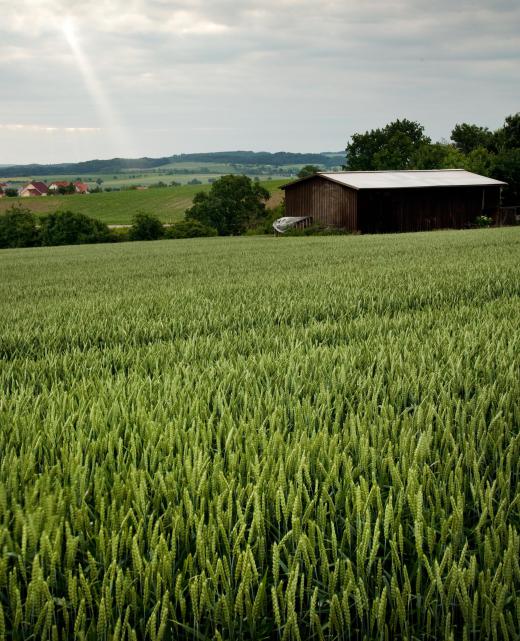 In-vessel composting systems are often used to dispose of organic farm waste.