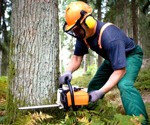 A man using a chain saw.