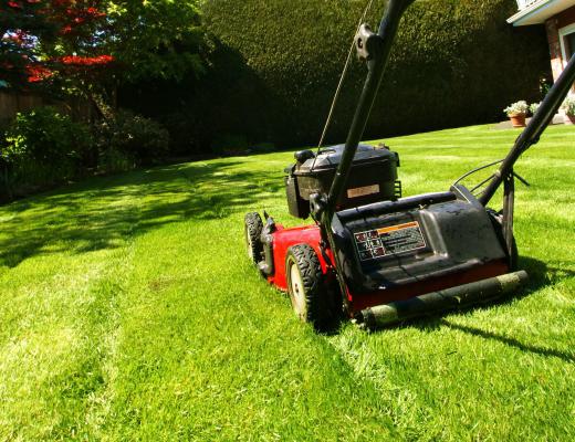 Solid tires are typically found on lawn mowers.