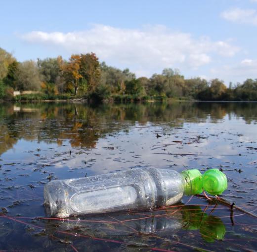 Plastic bottle floating in a lake.