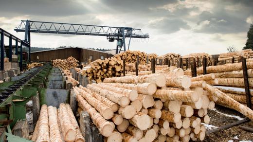 A lumber yard stores and sells wood.